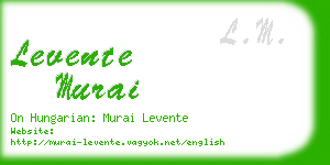 levente murai business card